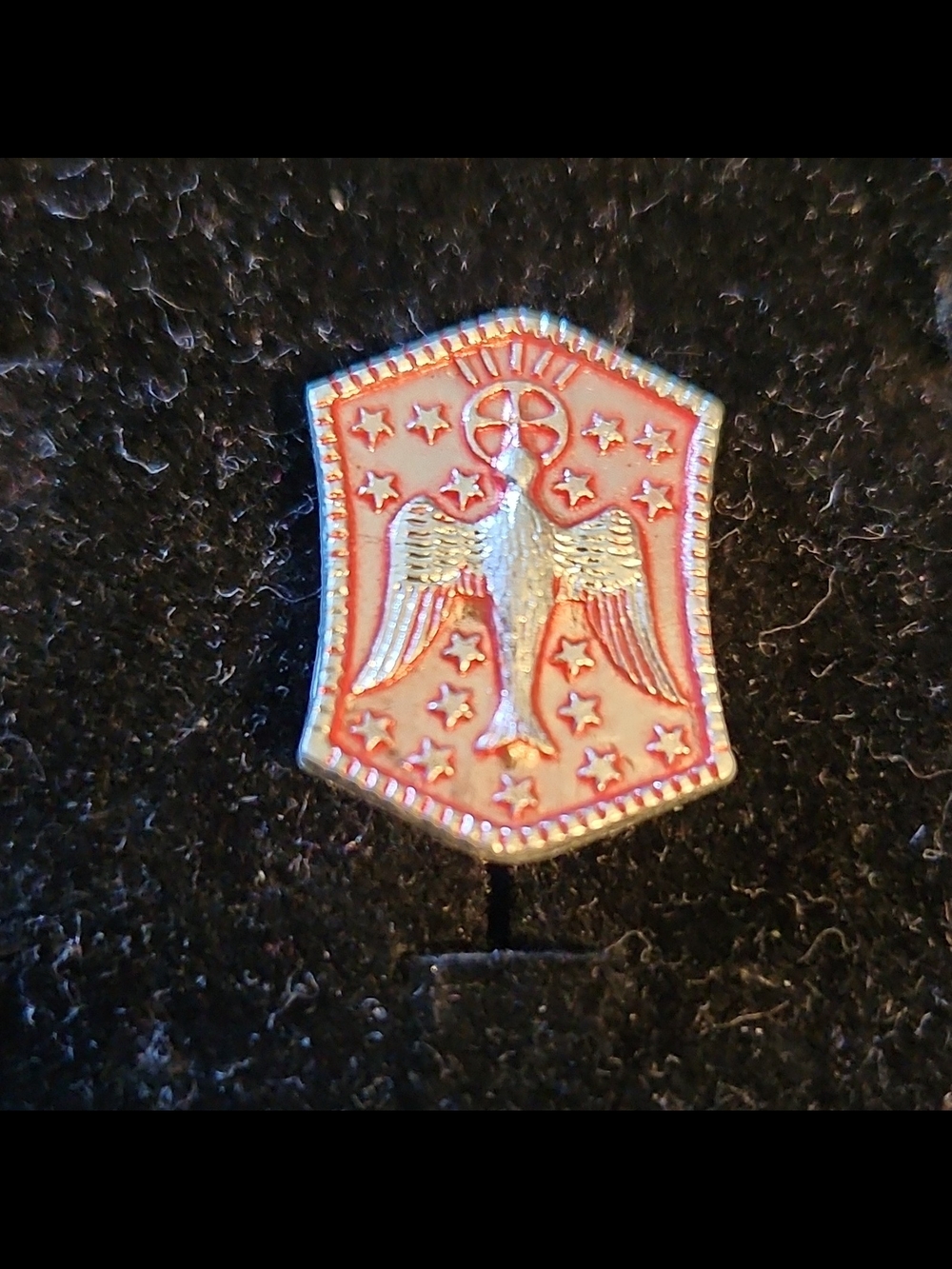 Enamel Winged Emblem Pin in Coral and Gold-toned